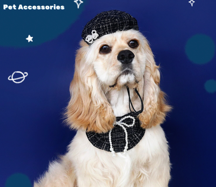 Plaid Dog Beret for Wholesale