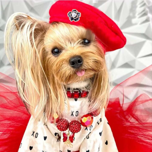 Plaid Dog Beret for Wholesale