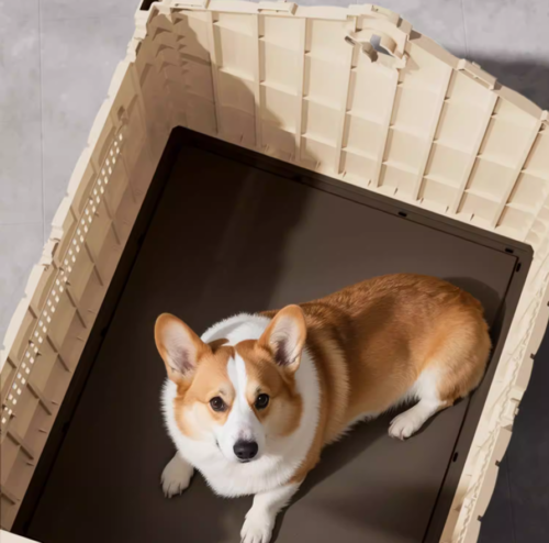 Plastic Dog House Bed for Wholesale