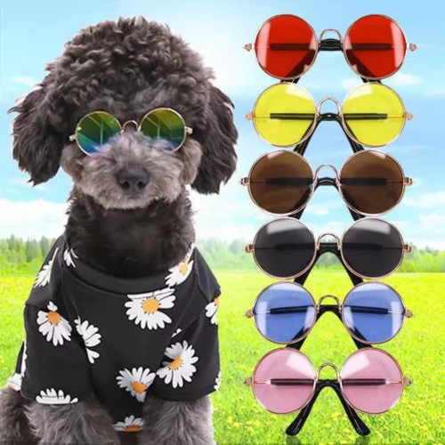 Plastic Frame Dog Sunglasses for Wholesale