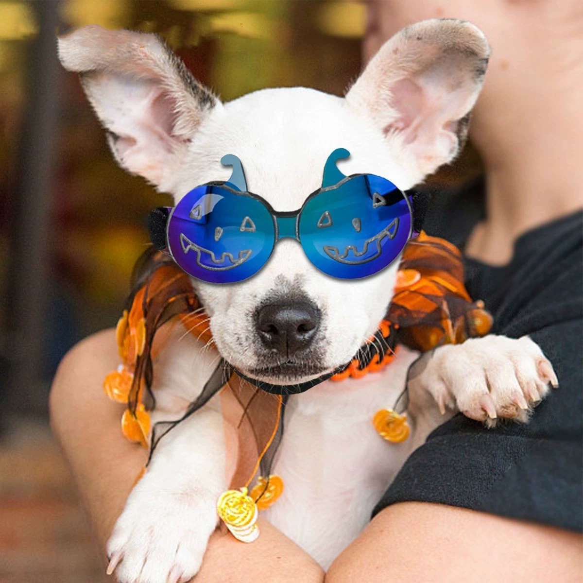 Plastic Frame Dog Sunglasses for Wholesale