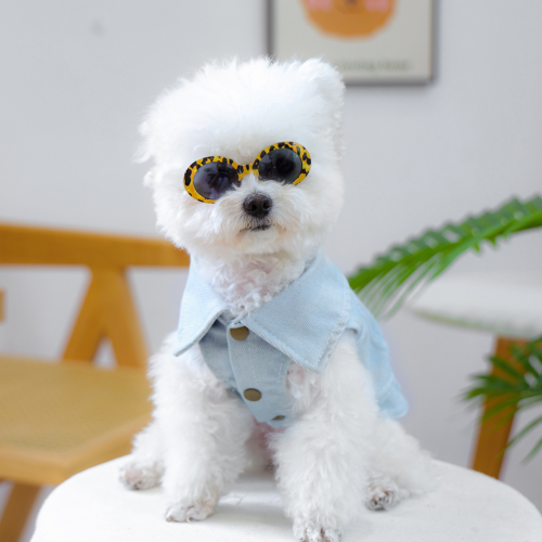 Plastic Frame Dog Sunglasses for Wholesale