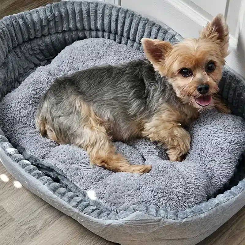Plush Best Dog Beds for Large Dogs for Wholesale