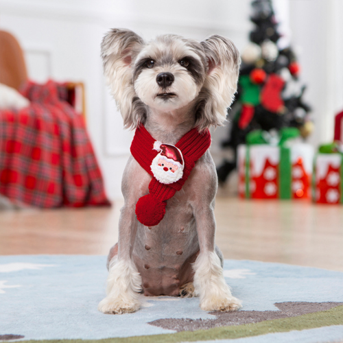 Plush Polyester Dog Christmas Scarf for Wholesale