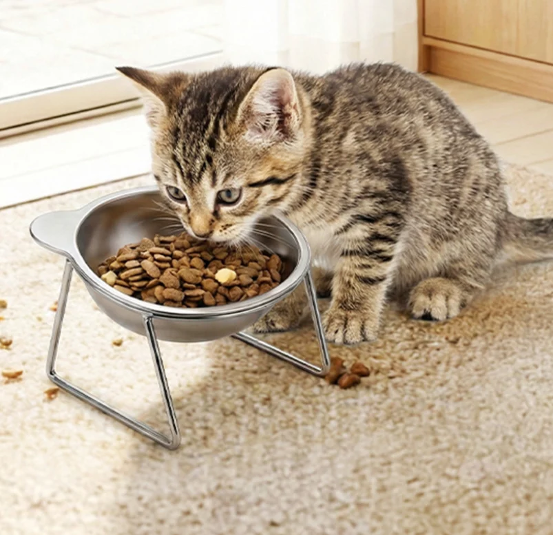 Raised Cat Bowls
