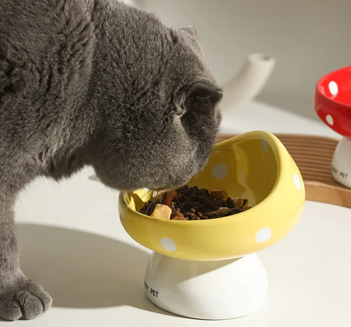 Raised Ceramic Cat Bowls