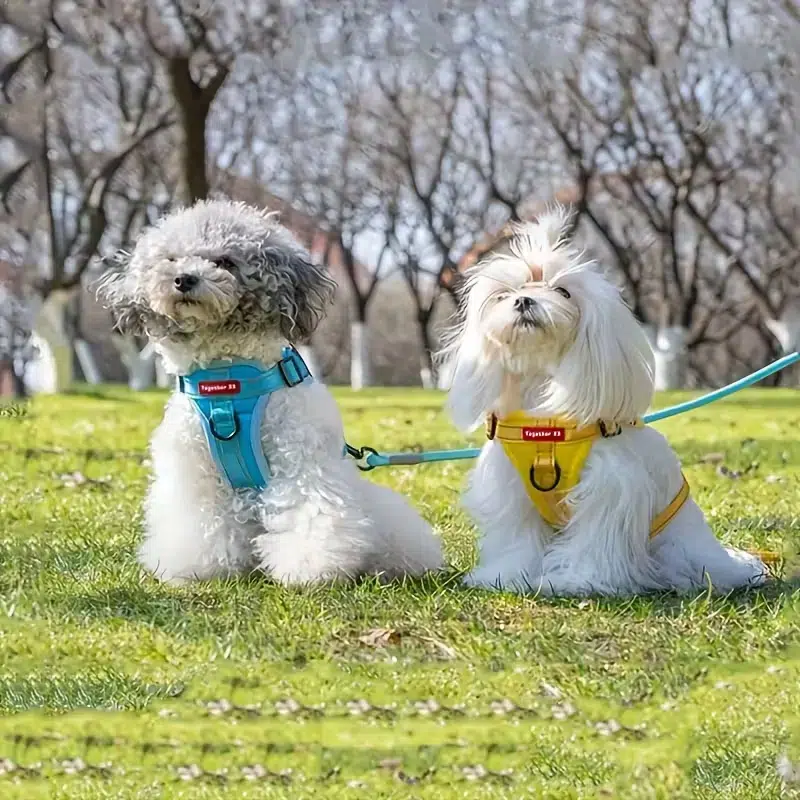 No Pull Dog Harness - Image 7