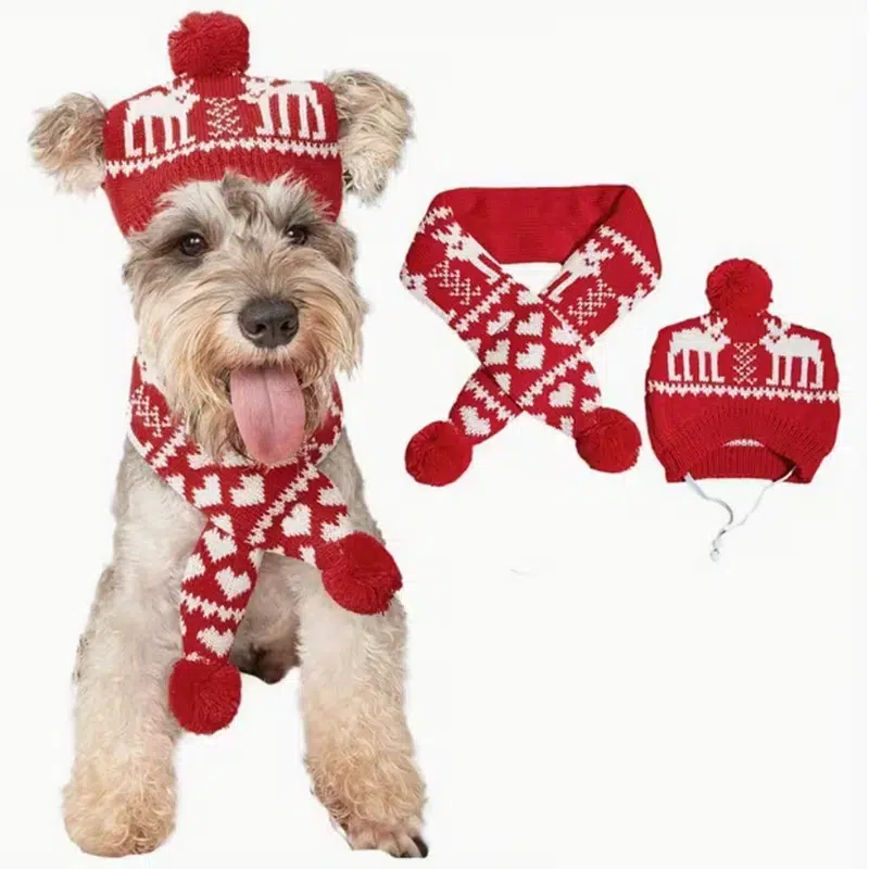 Ribbed Knit Dog Hat for Wholesale