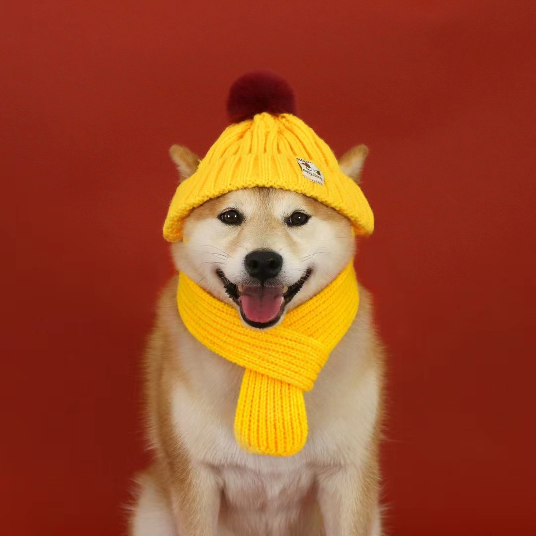Ribbed Knit Dog Hat for Wholesale