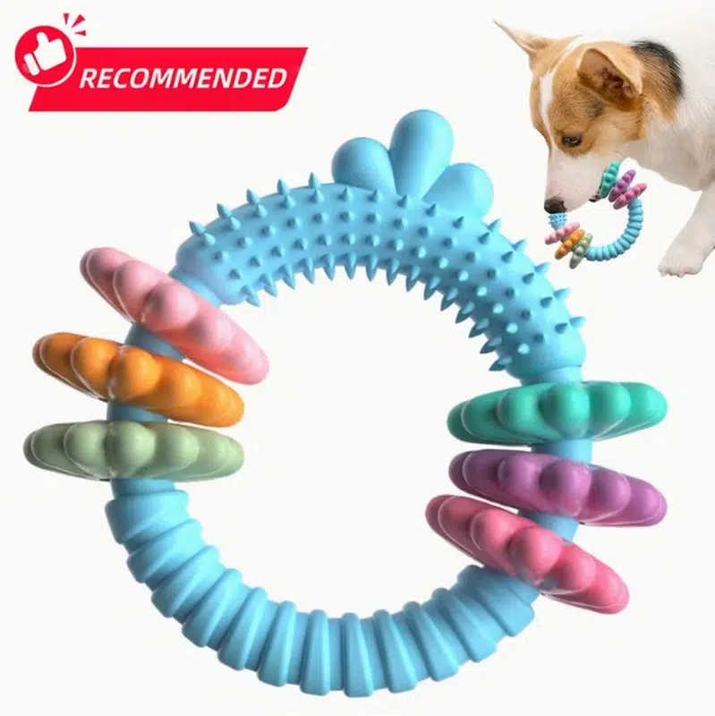Wholesale OEM Durable Rubber Dog Chew Ring – Teething & Training Toy - Image 3