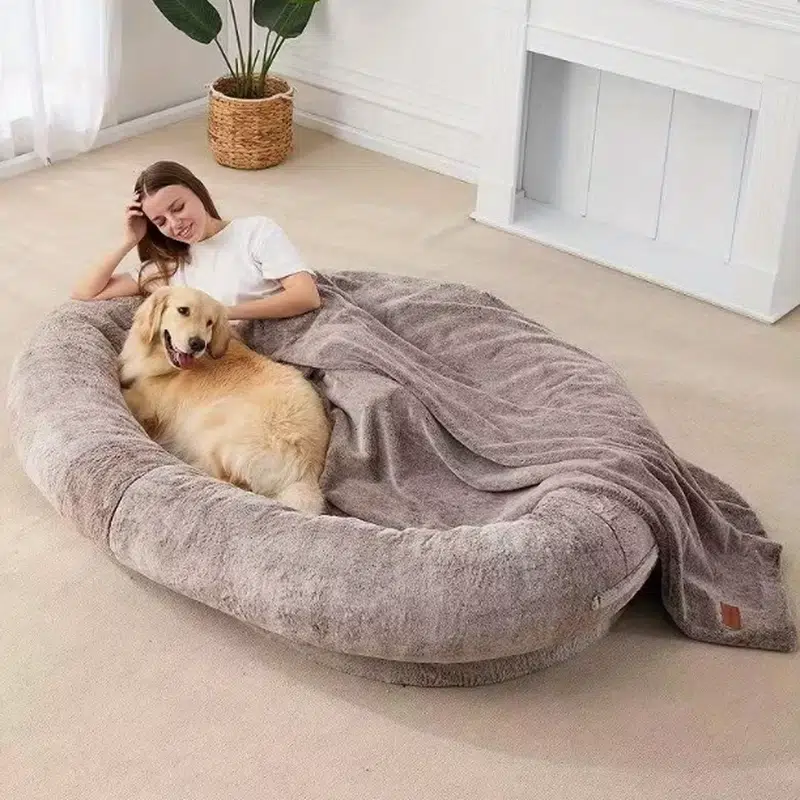 best dog beds for large dogs