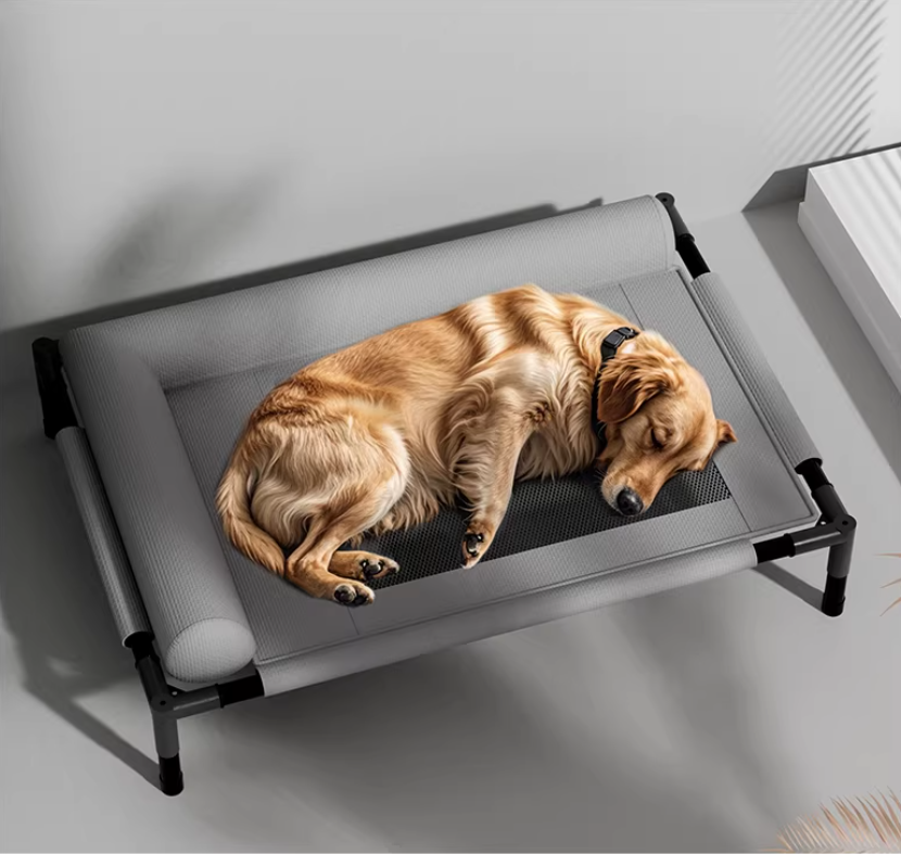 Foldable Dog Bed with Metal Frame for Wholesale