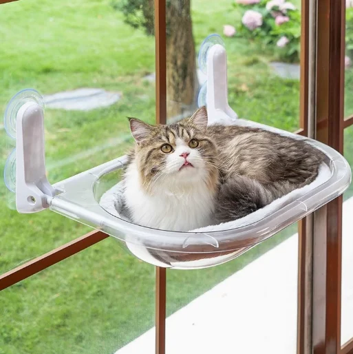 Cat Bed Window