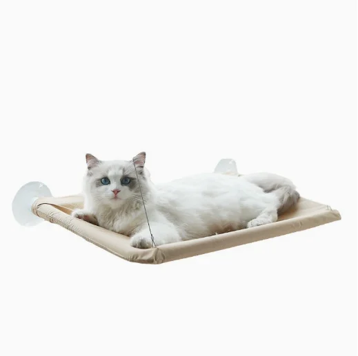 Cat Bed Windowsill