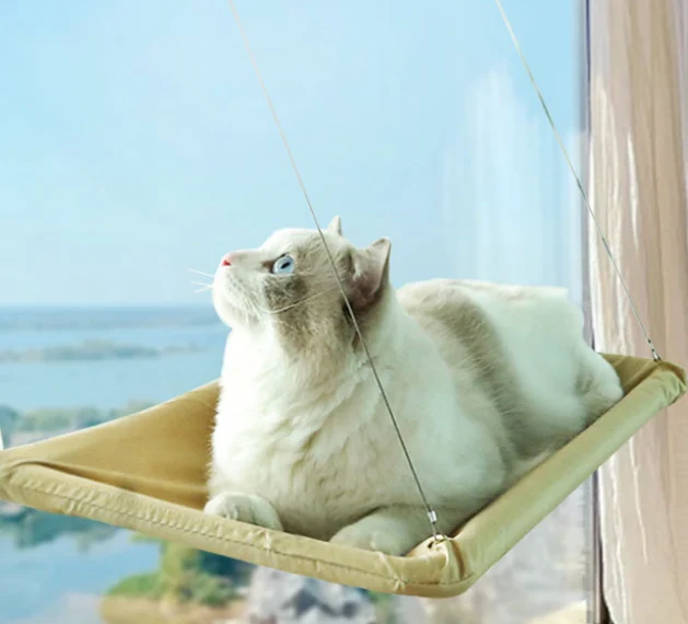 Cat Bed Windowsill