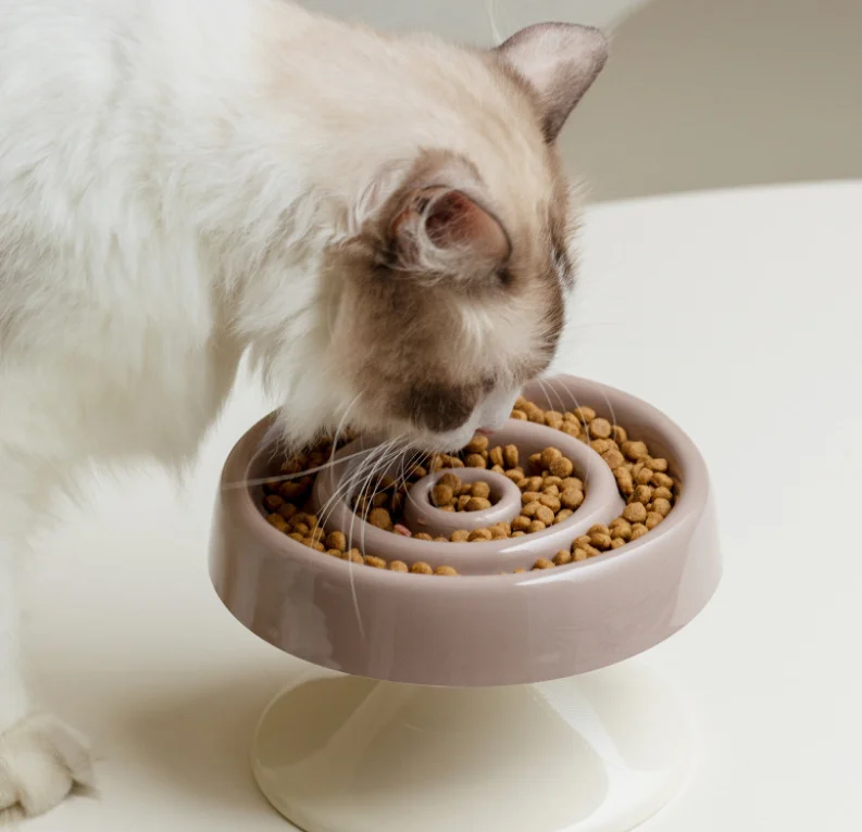 Slow Feed Cat Bowls