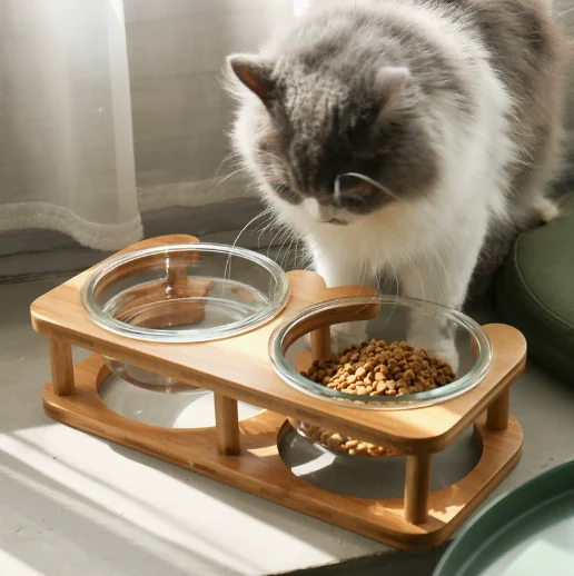 Glass Cat Bowls