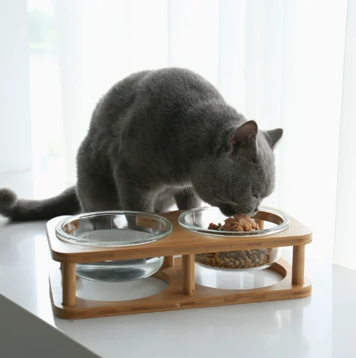 Glass Cat Bowls