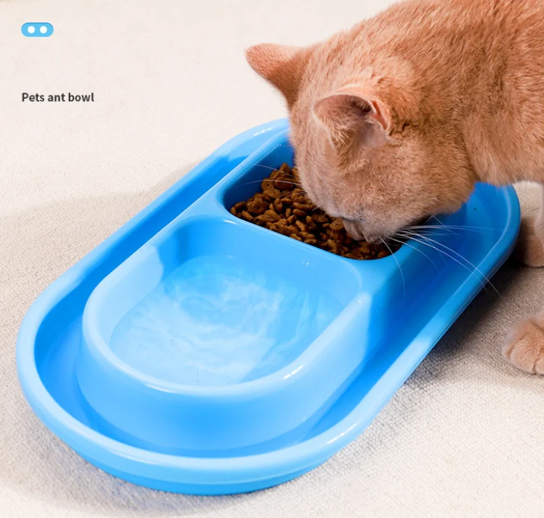 Ant Proof Cat Bowls