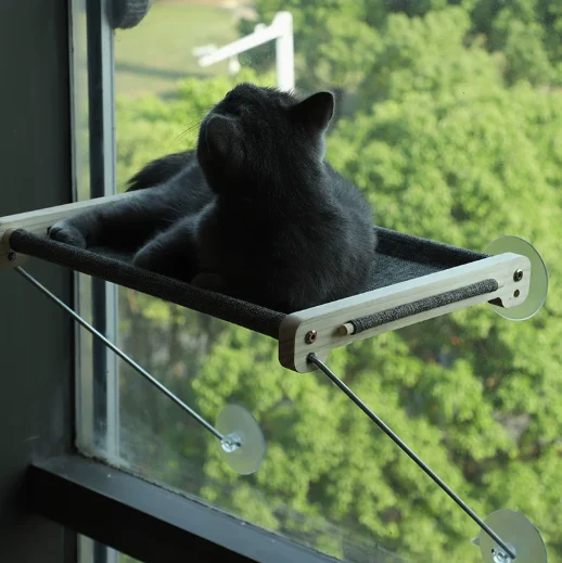 Window Perch For Cats