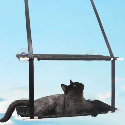 Cat Perch Window