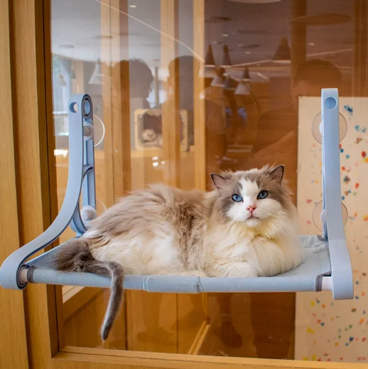 Cat Window Perch Suction Cups