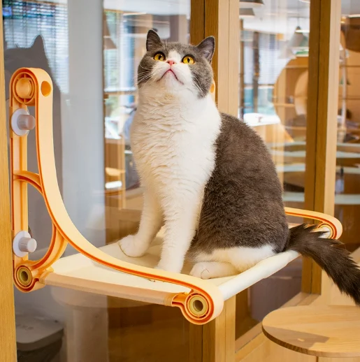 Cat Window Perch Suction Cups