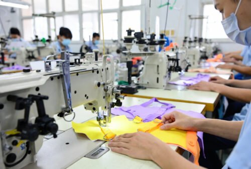 Small Dog Harness Vest