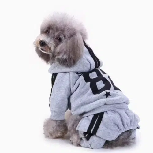 Sport Dog Jumpsuit with Warm Fleece Lining | Cozy Winter Fit from OEM Factory