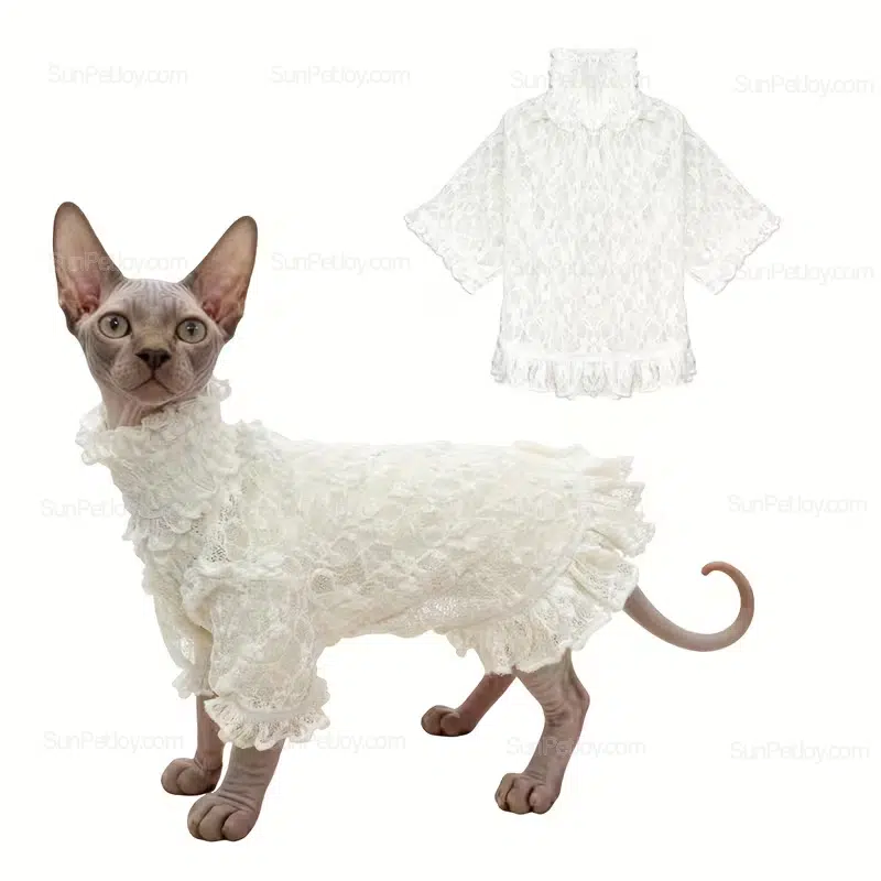 Wholesale Adjustable Cat Lace Outfit