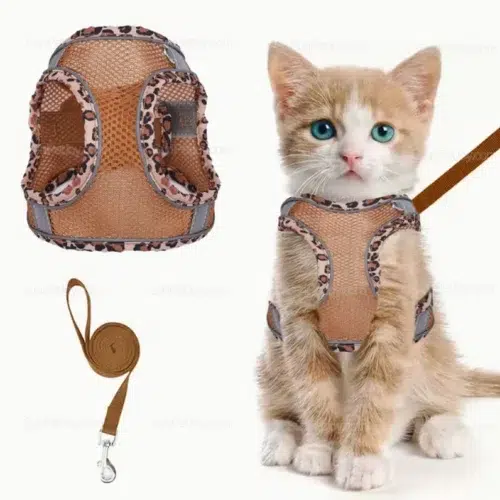 Wholesale Cat Harness and Leash Set with Secure Buckle