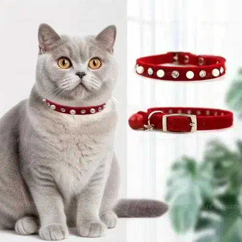 Wholesale Cat Pearl Collar with Adjustable Soft Velvet Fit