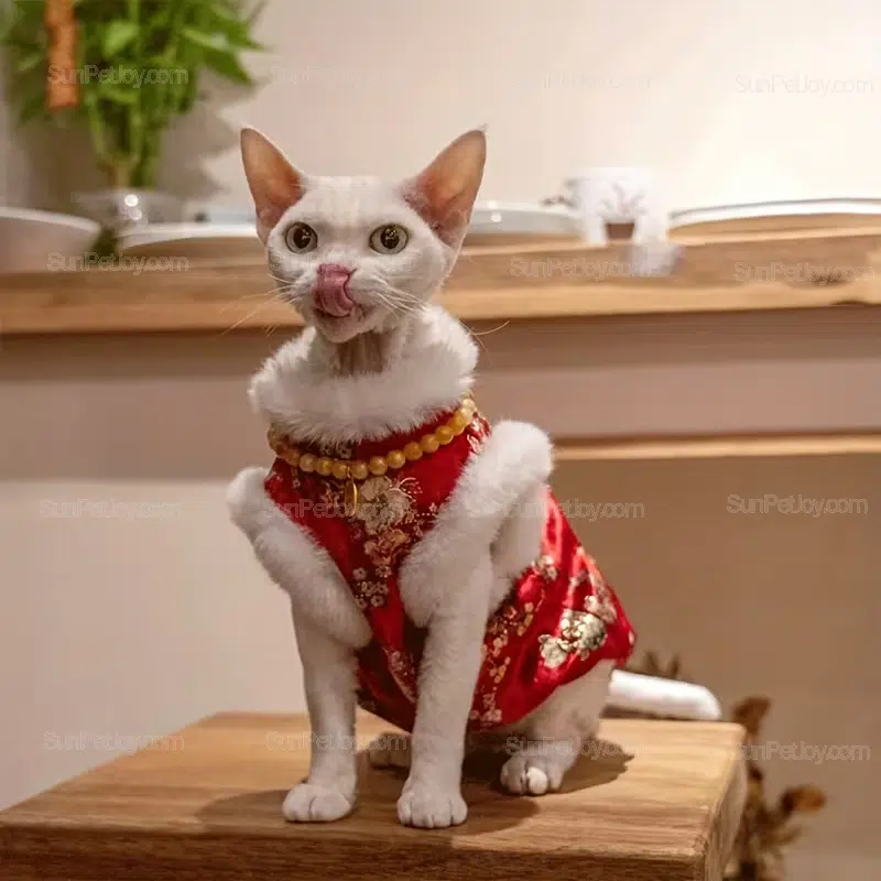 Wholesale Cat Velvet Cheongsam Vest with Anti Lick Design