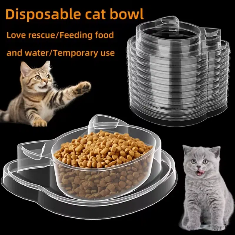 Wholesale Disposable Cat Feeding Bowls for Outdoor & Rescue Use