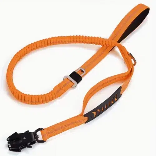 Wholesale Durable Bungee Dog Leash with Shock Absorption