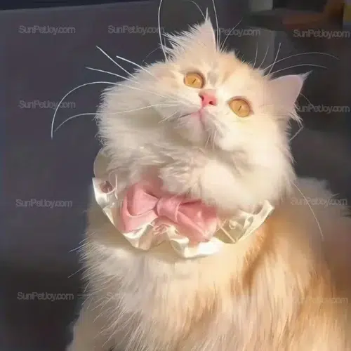 Wholesale Gemstone Bow Pet Collars for Bulk Orders