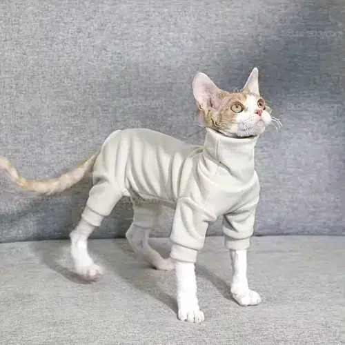 Wholesale High-Neck Velvet Cat Bodysuit for Cold Seasons