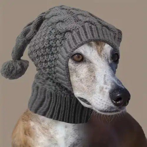 Wholesale Knitted Dog Hat for Winter Warmth