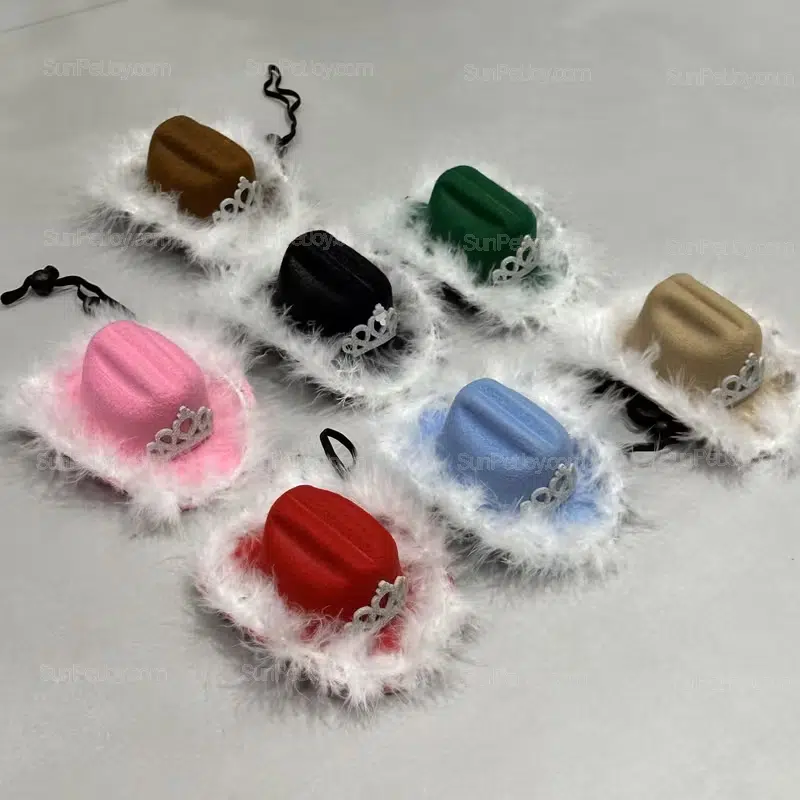Wholesale Mini Pet Cowboy Hats with Feather Crowns