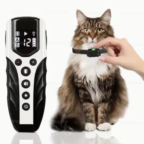 Wholesale No-Shock Cat Training Collar with 2000ft Remote