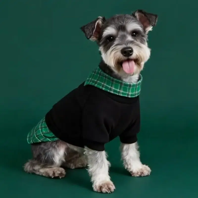 Dog sweatshirts - Image 6