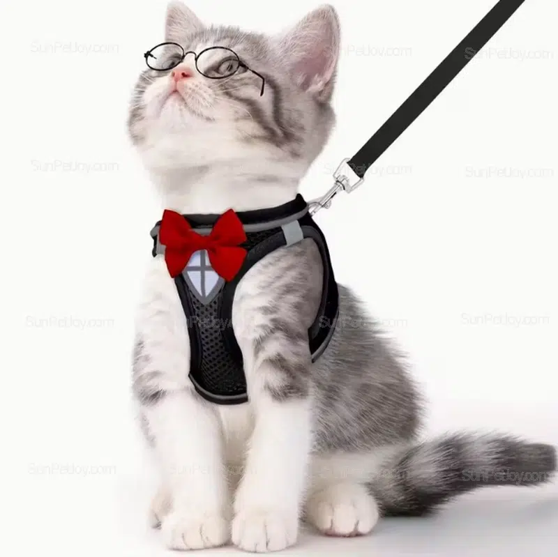 Wholesale Reflective Cat Harness and Leash for Night Walking
