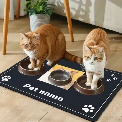 Wholesale Silicone Pet Mats - Anti-Slip Bottom OEM