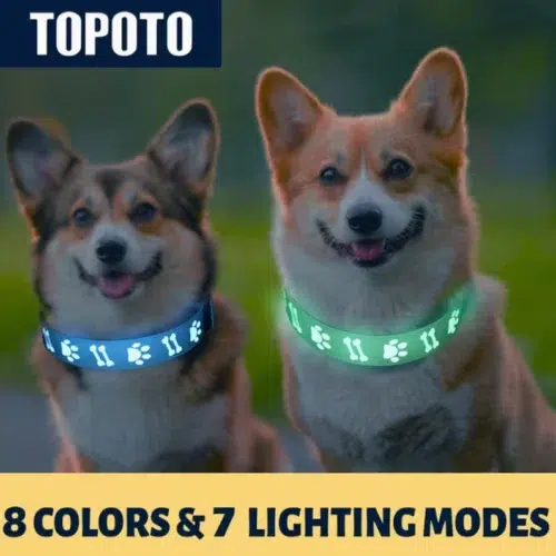 Wholesale USB Rechargeable LED Dog Collar for Outdoor Night Use