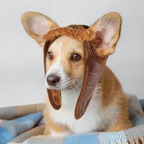 Wholesale Vintage Pilot Dog Hat with Warm Fleece Lining