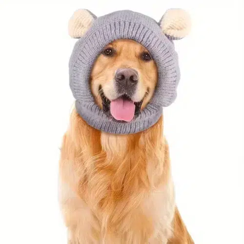 Dogs With Knitted Hats