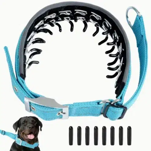 Wholesale Wide Martingale Dog Collar with Quick-Release Buckle