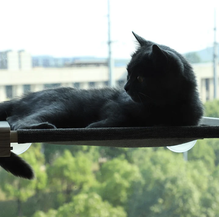 Window Perch For Cats