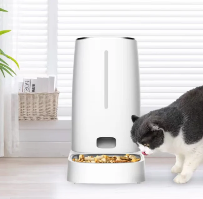 automatic cat feeders