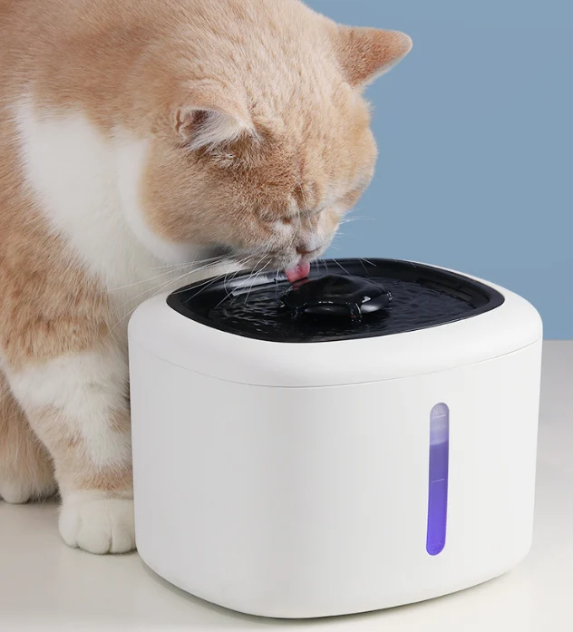 battery operated cat water fountain